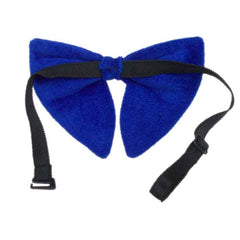 royal-blue-bow-tie